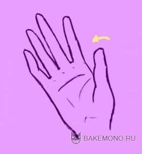 \"Складки